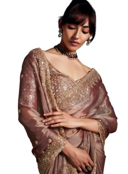 Flosive Women's Havy Organza Silk Saree With Unstitched Blouse Piece - Party & Wedding Were - Image 8